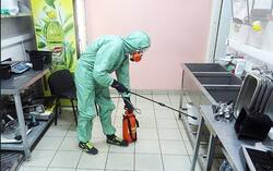 Дезинсекция